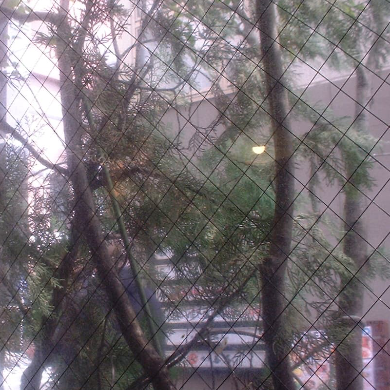 外の景色を撮った写真